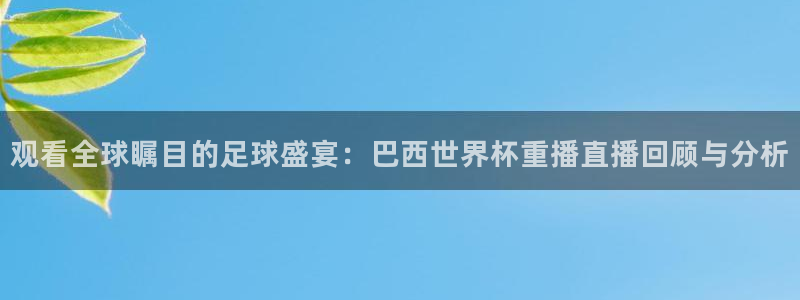 世界杯直播网:观看全球瞩目的足球盛宴:巴西世界杯重播直播回顾与分析