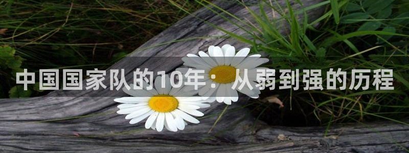世界杯48支球队赛制:中国国家队的10年:从弱到强的历程