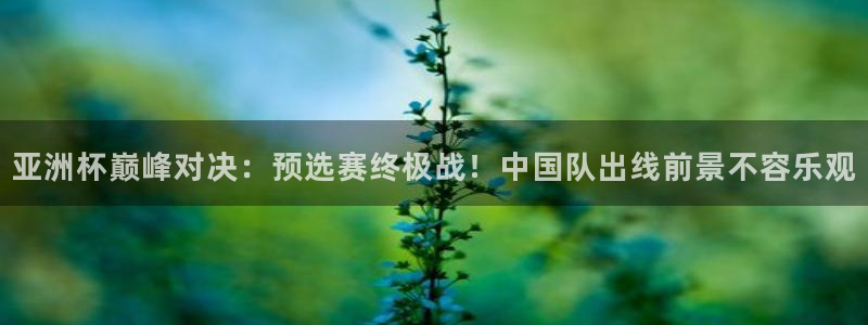 2026年世界杯:亚洲杯巅峰对决:预选赛终极战!中国队出线前景不容乐观